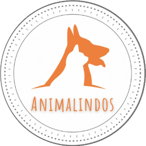 Animalindos